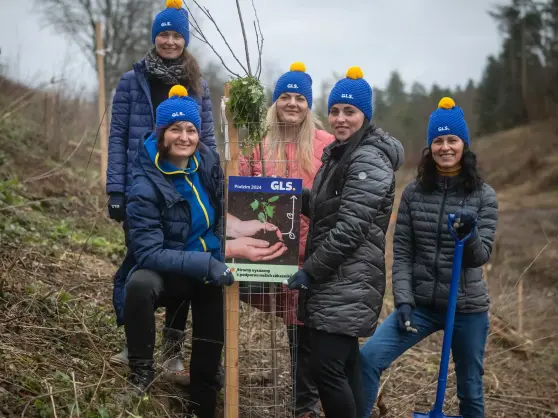 Planting trees